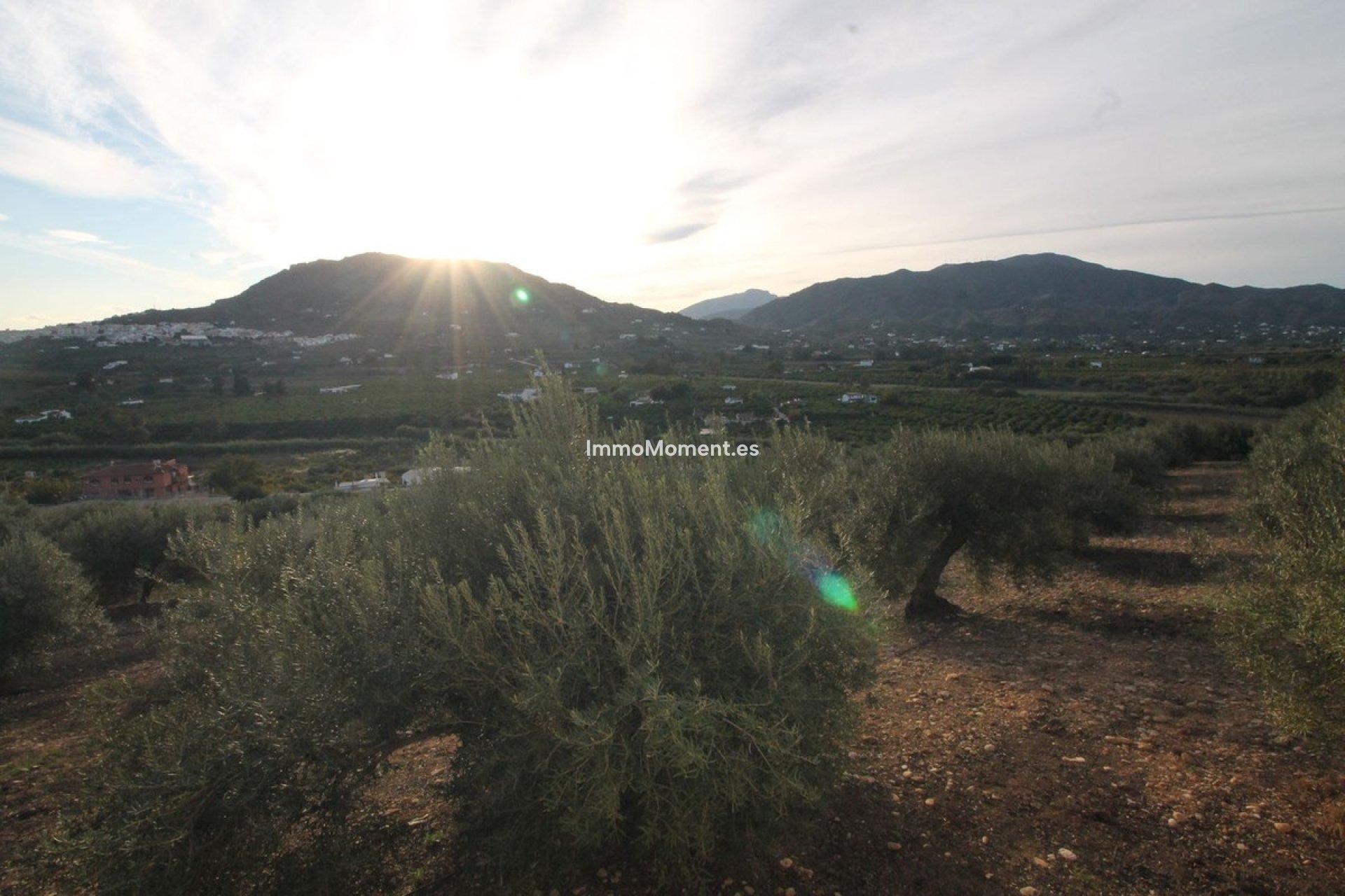 Resale - Land - Inland  - Alora