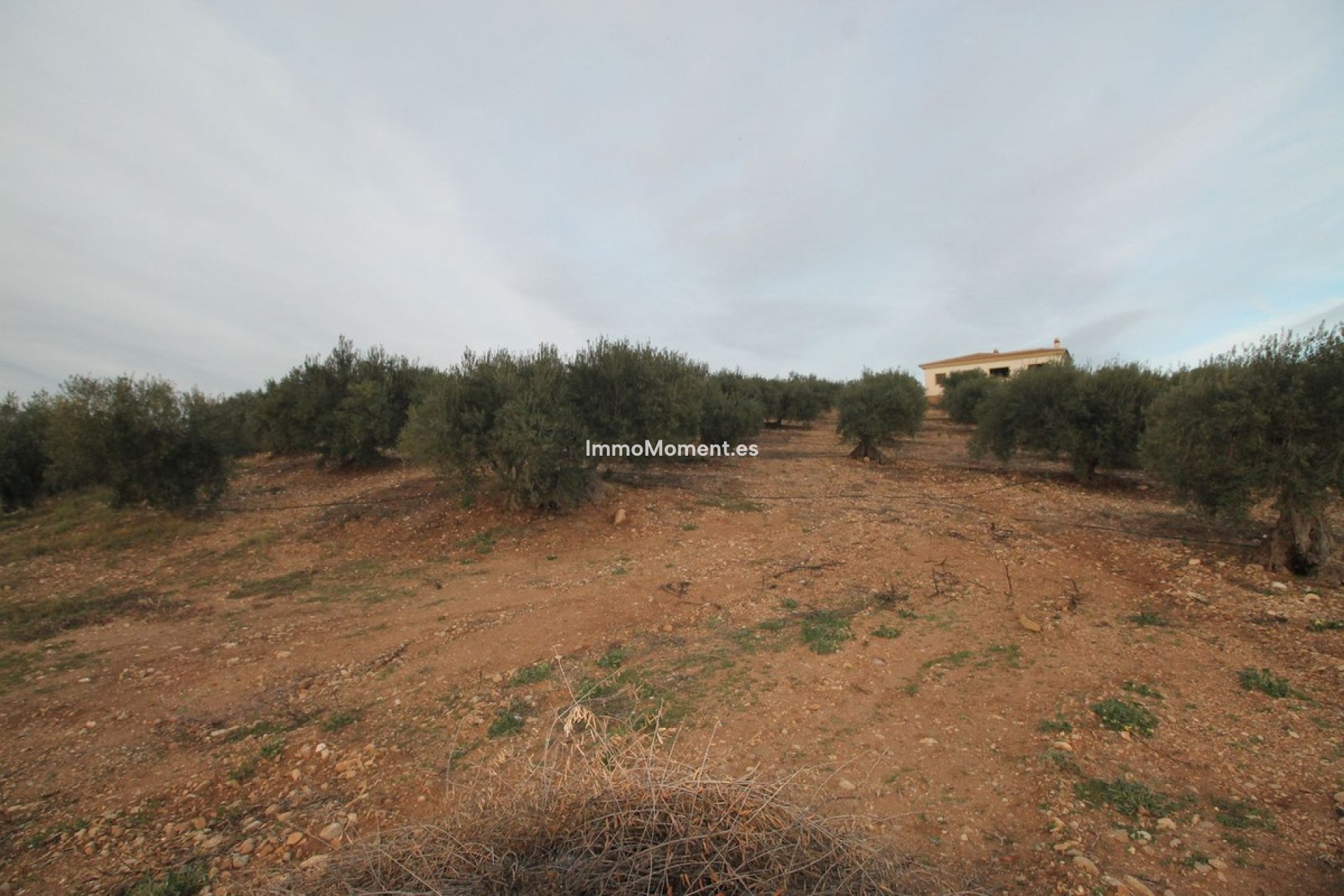 Resale - Land - Inland  - Alora