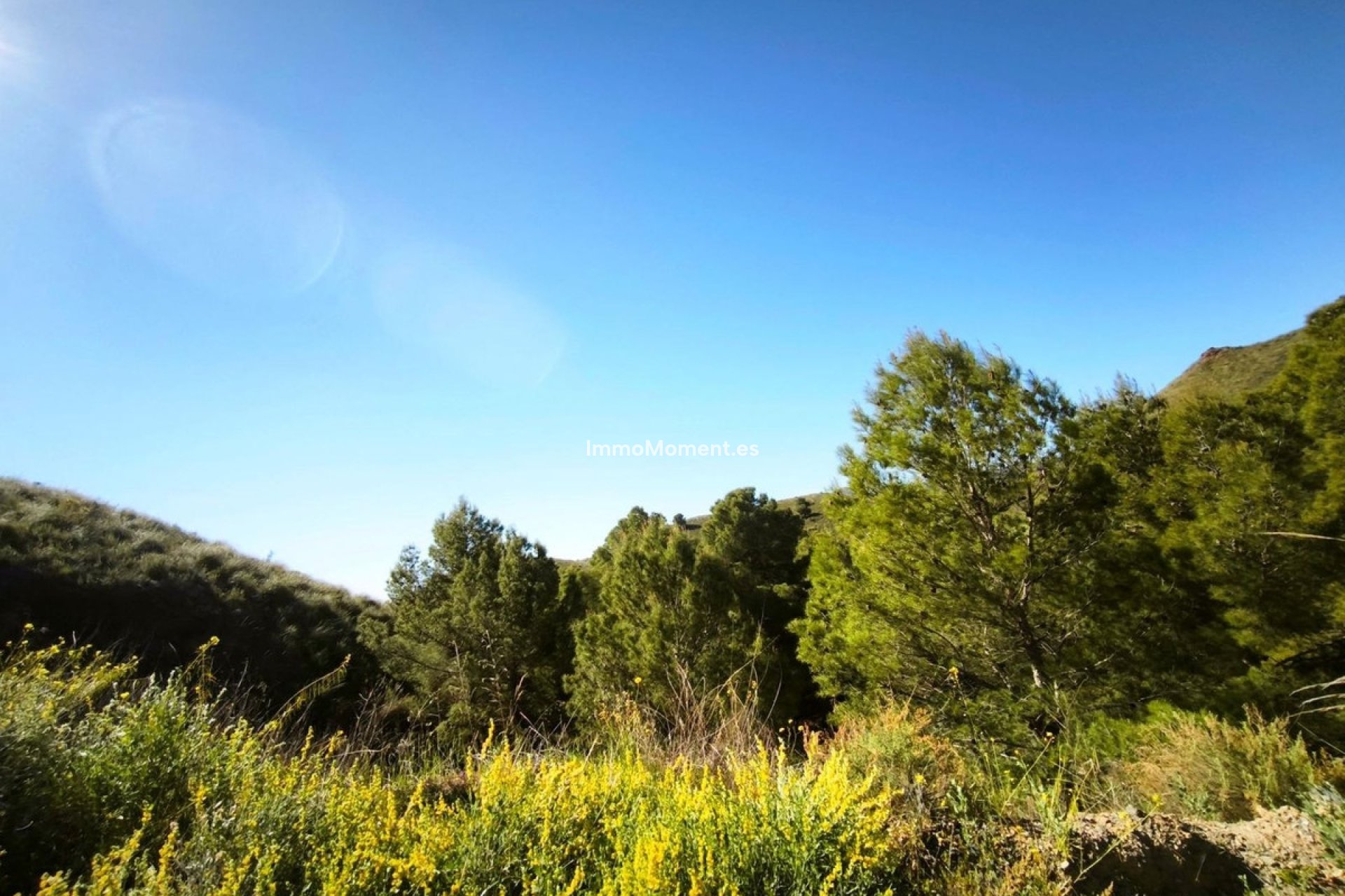 Resale - Land - Lorca - Lorca Centro