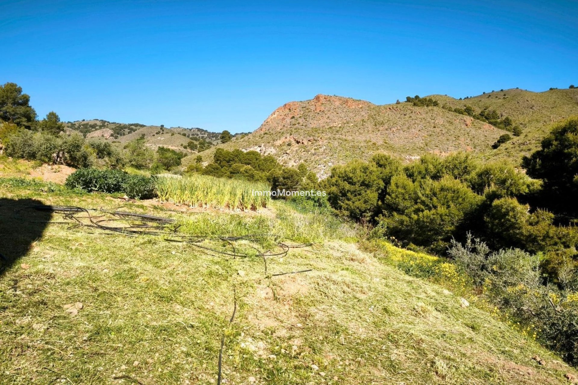 Resale - Land - Lorca - Lorca Centro