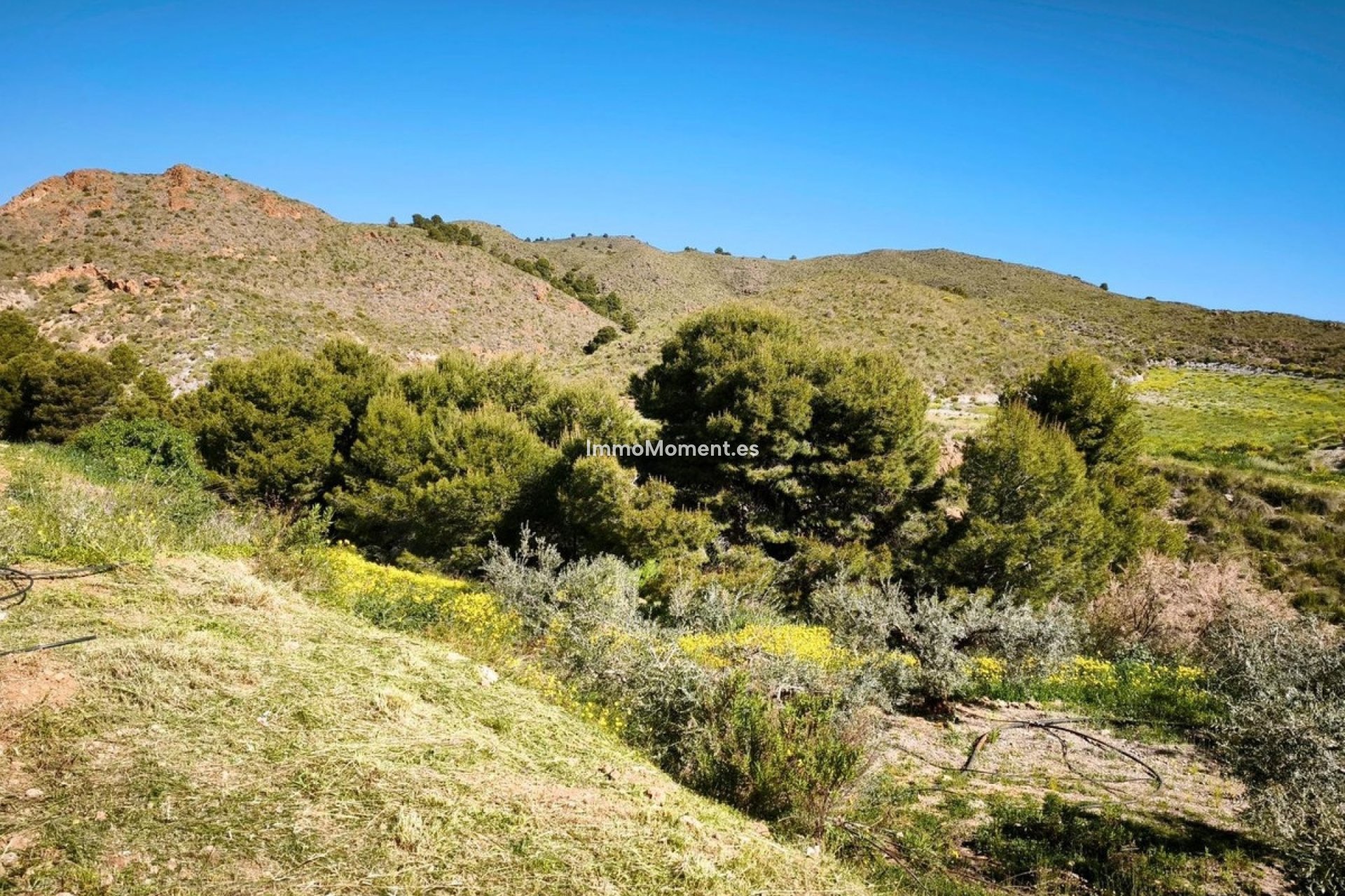 Resale - Land - Lorca - Lorca Centro