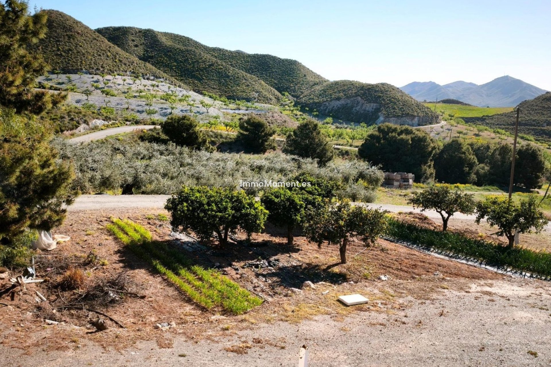 Resale - Land - Lorca - Lorca Centro