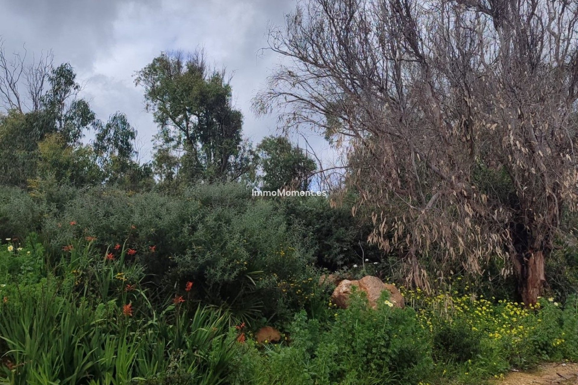 Resale - Land - Manilva