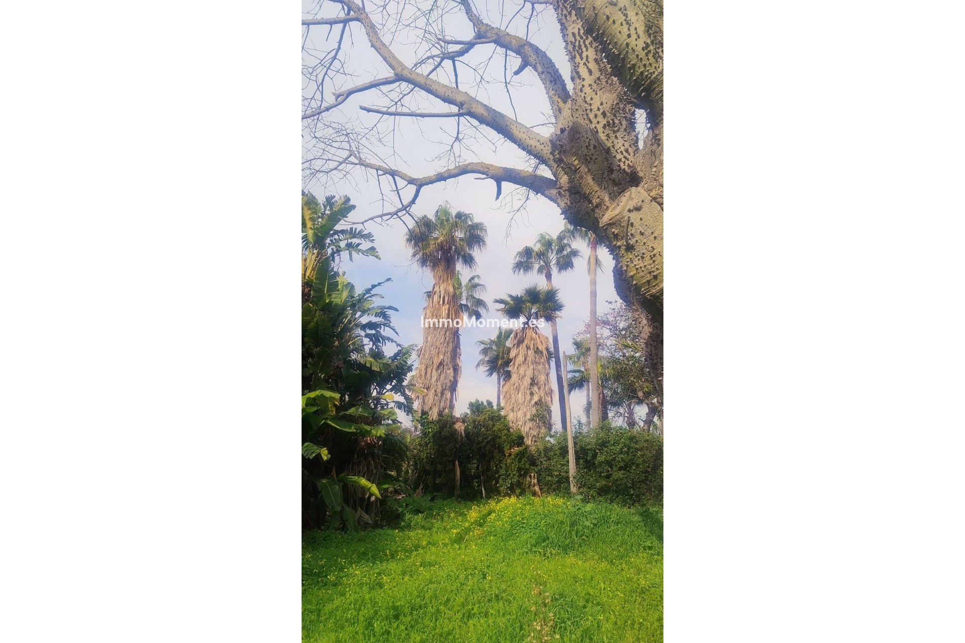 Resale - Land - Marbella - Hacienda Las Chapas