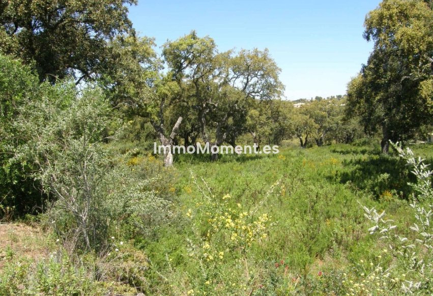 Resale - Land - Sotogrande - San Roque Club