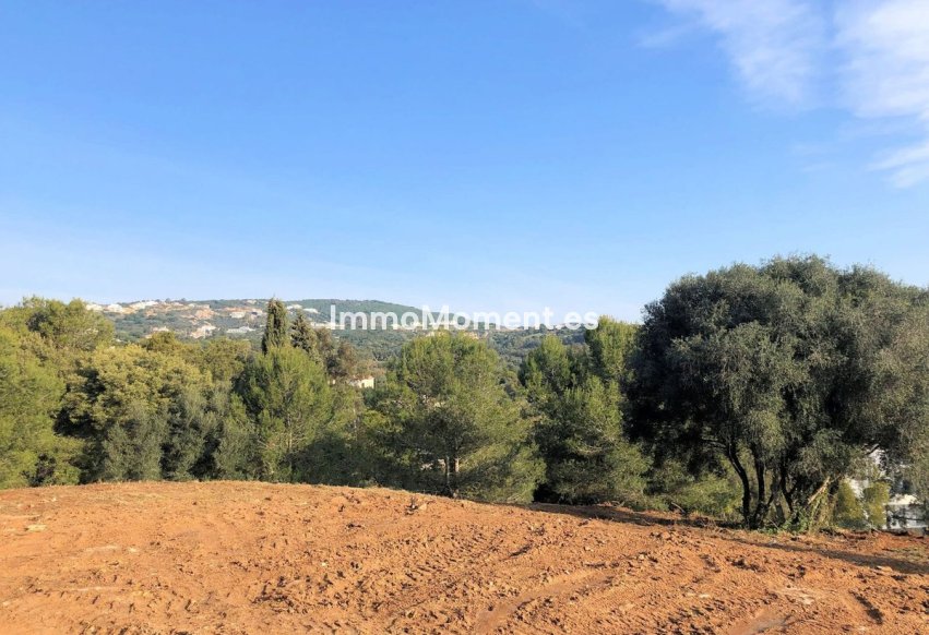 Resale - Land - Sotogrande - Sotogrande Alto