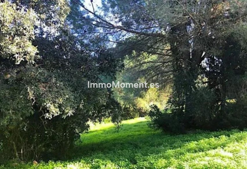 Resale - Land - Sotogrande - Sotogrande Alto