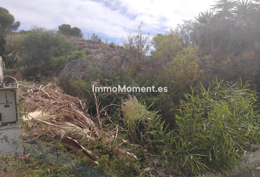 Resale - Plot - Algorfa - Algorfa Centro