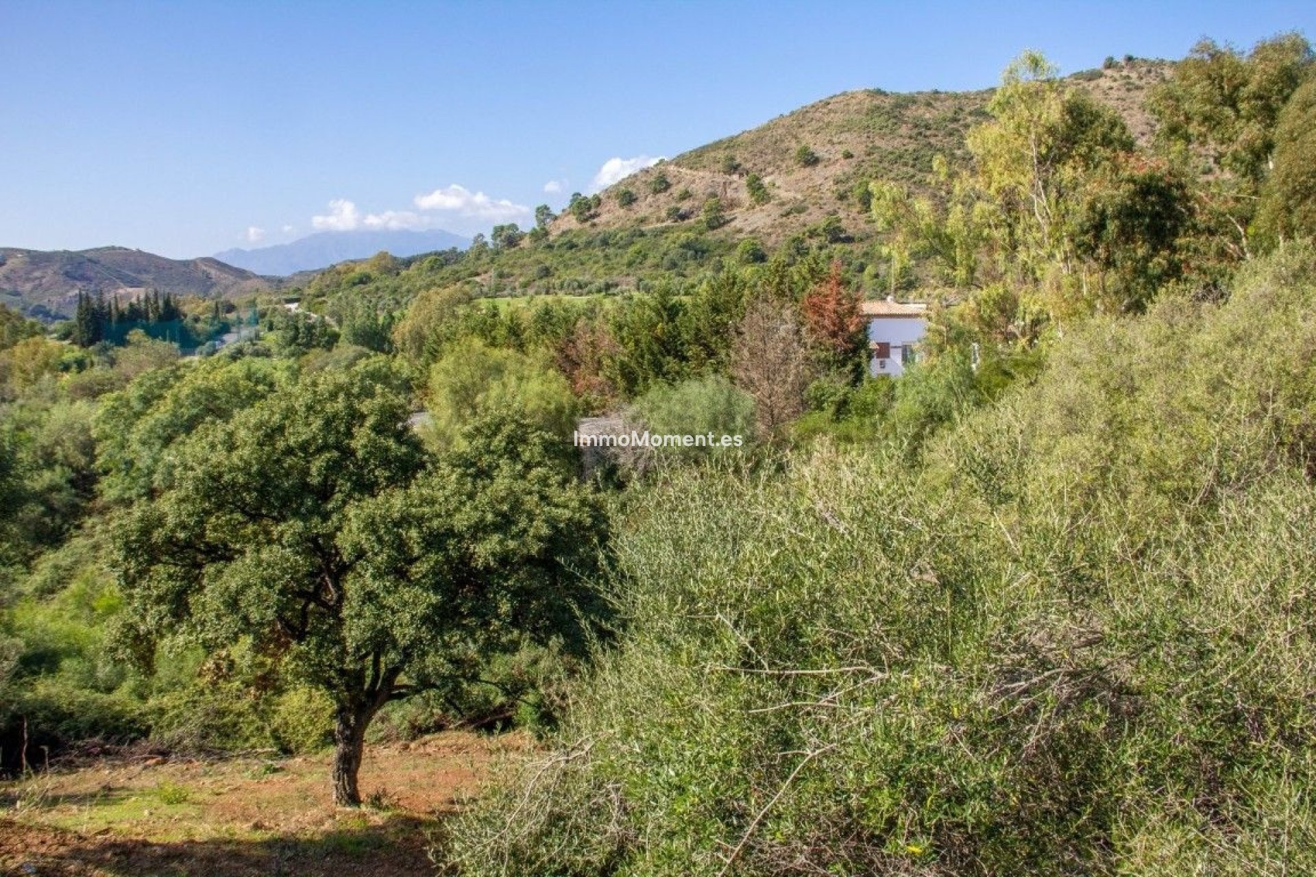 Resale - Plot - Benahavís - Benahavís Centro