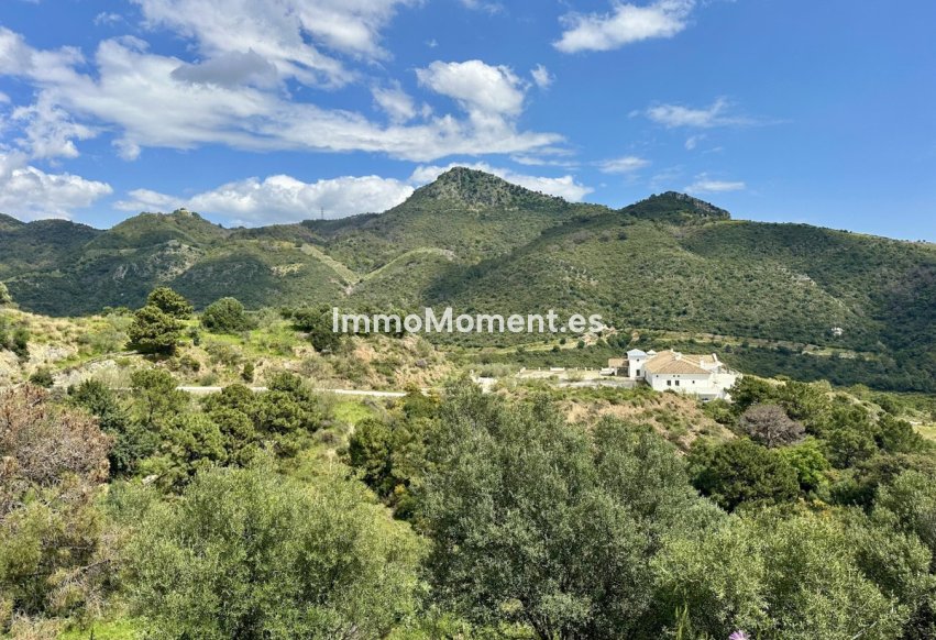 Resale - Plot - Benahavís - Benahavís Centro