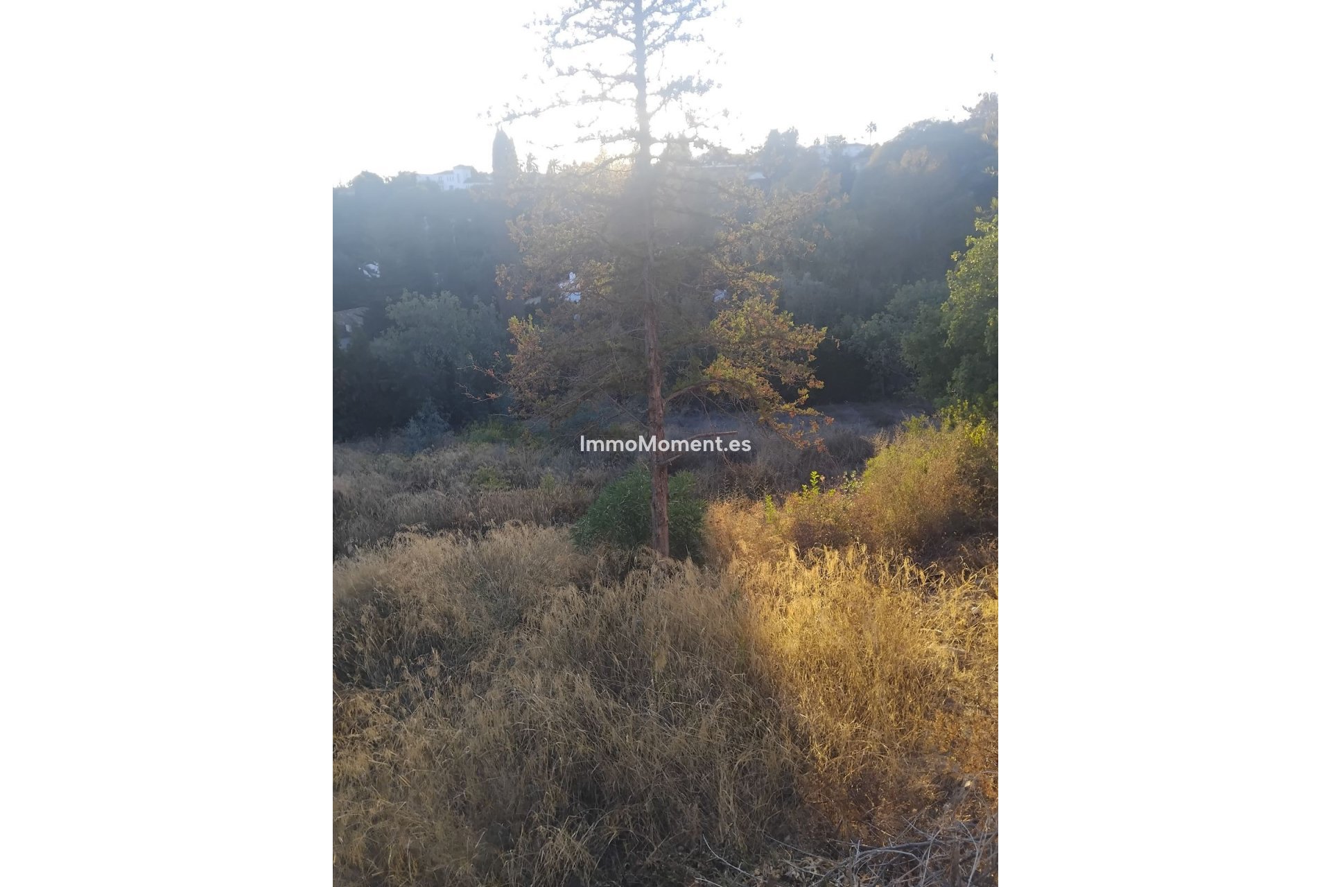 Resale - Plot - Benahavís - La Quinta