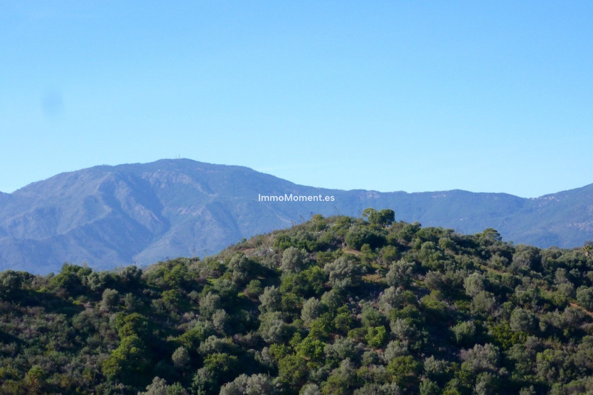 Resale - Plot - Estepona - Estepona Centro