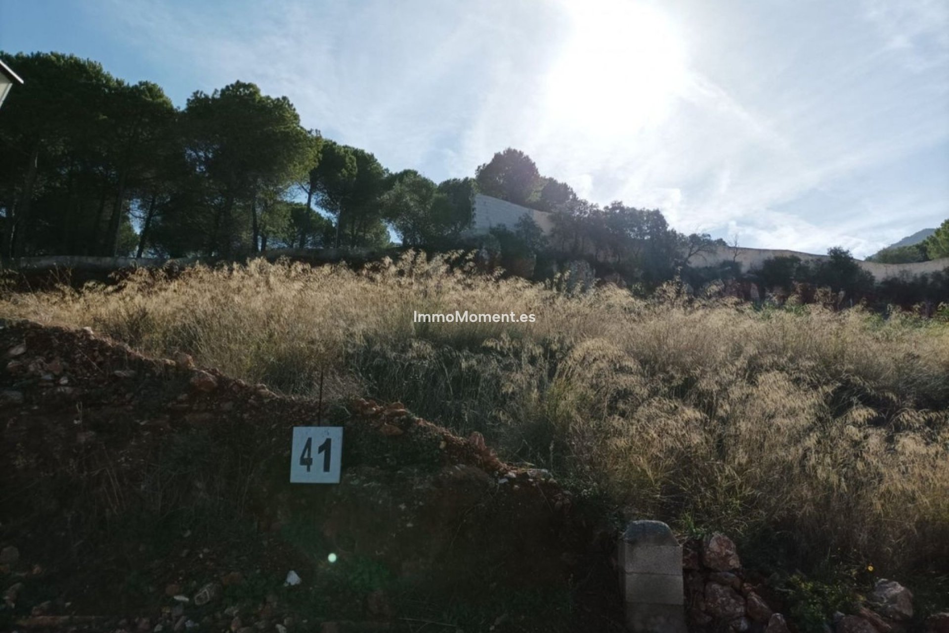 Resale - Plot - Inland  - Alhaurín el Grande Centro