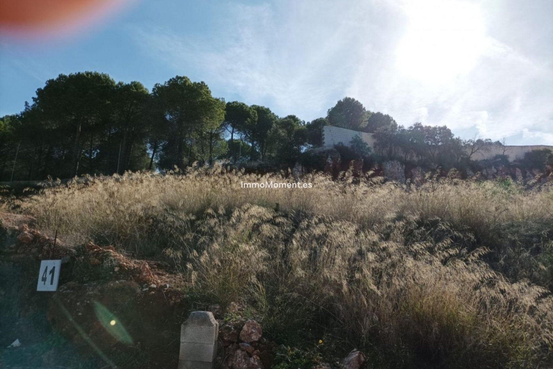 Resale - Plot - Inland  - Alhaurín el Grande Centro