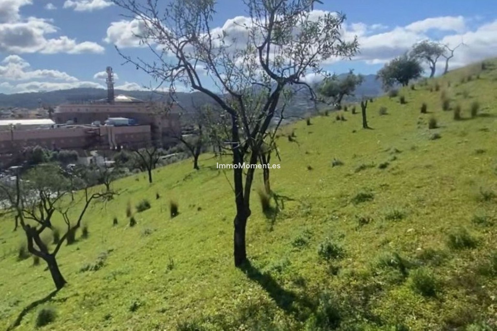 Resale - Plot - Inland  - Coín