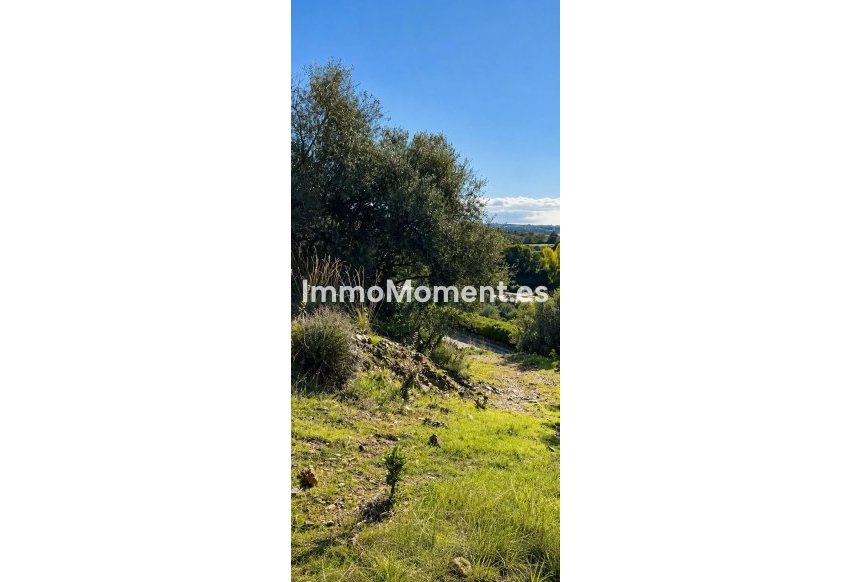 Resale - Plot - Marbella - Altos de los Monteros