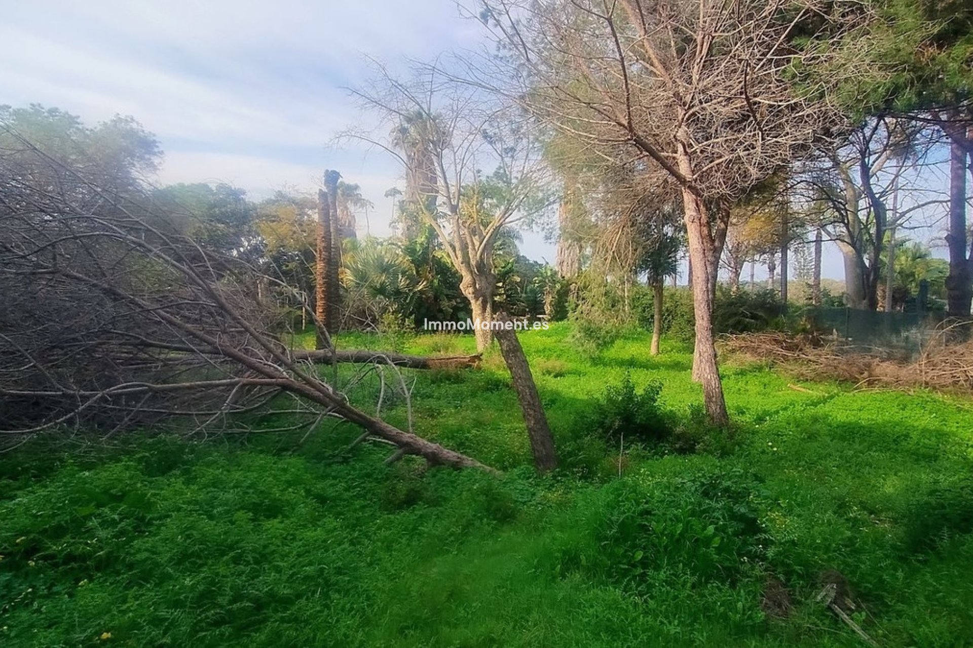 Resale - Plot - Marbella - Hacienda Las Chapas
