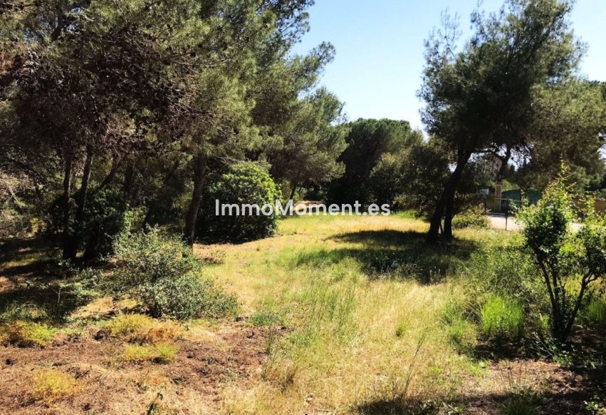 Resale - Plot - Marbella - Hacienda Las Chapas