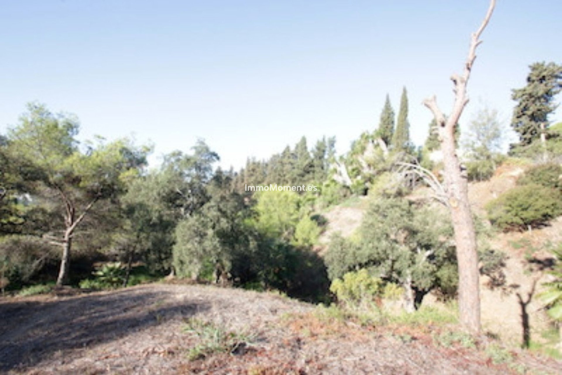 Resale - Plot - Marbella - Hacienda Las Chapas