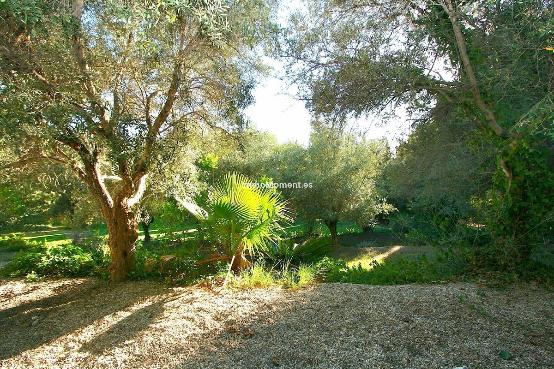 Resale - Plot - Mijas - Mijas Centro