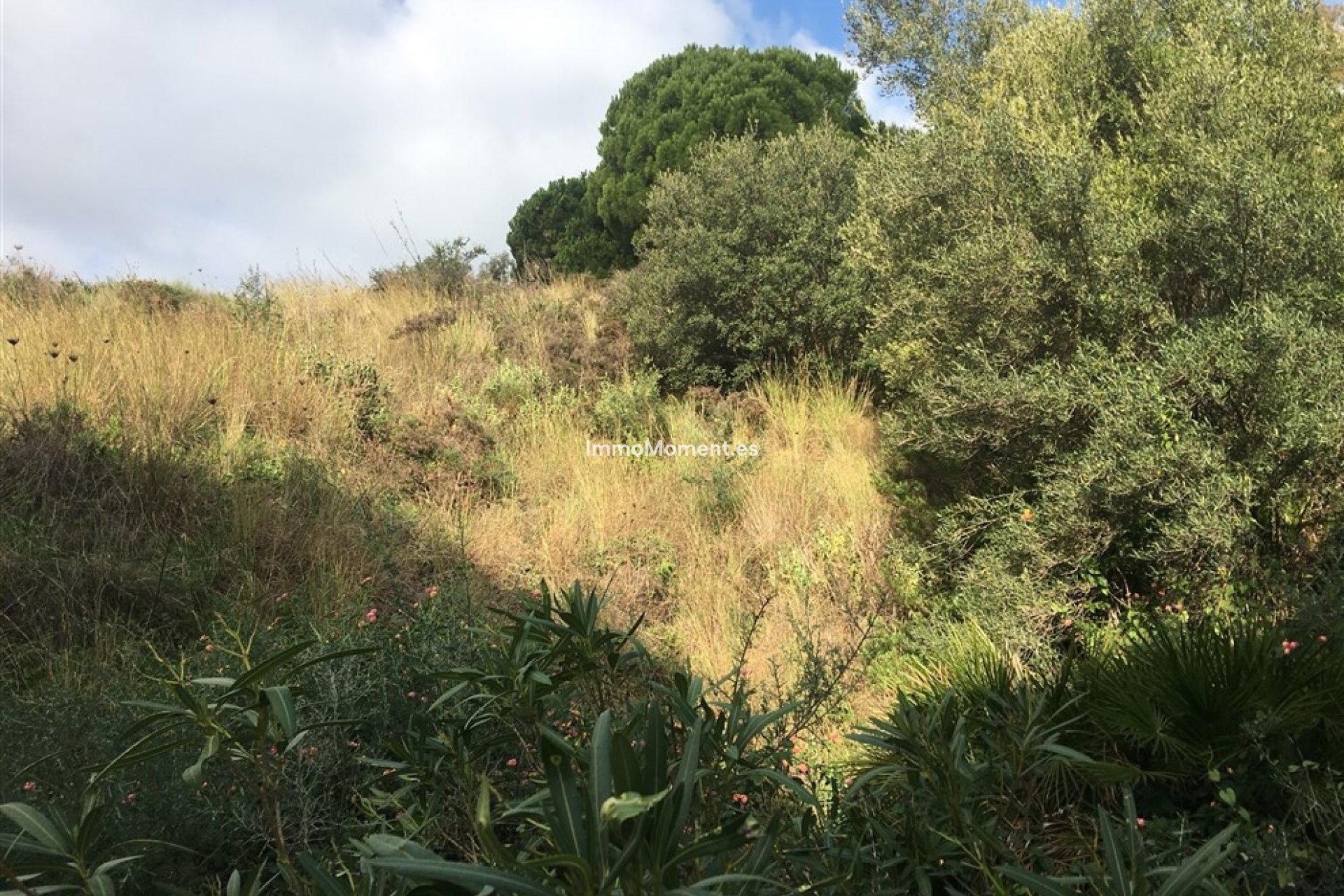 Resale - Plot - Mijas - Mijas Centro