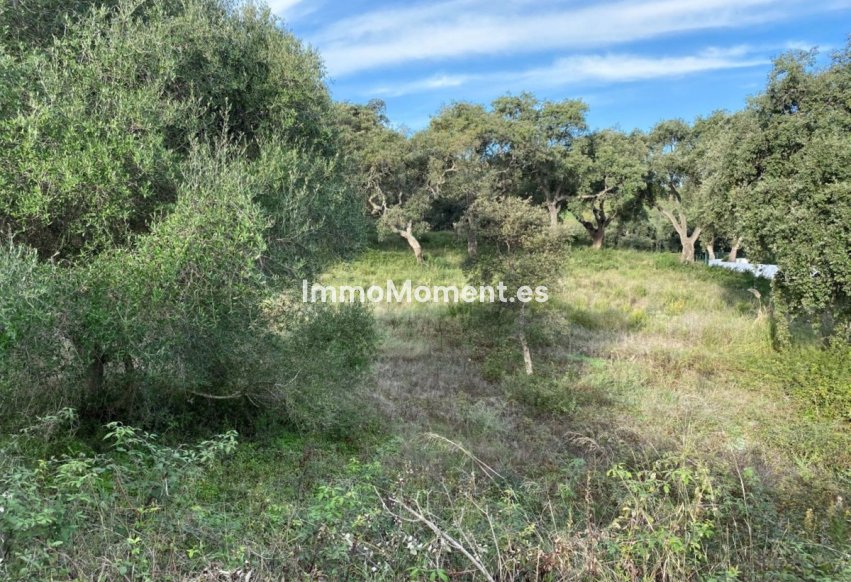 Resale - Plot - Sotogrande - San Roque Club