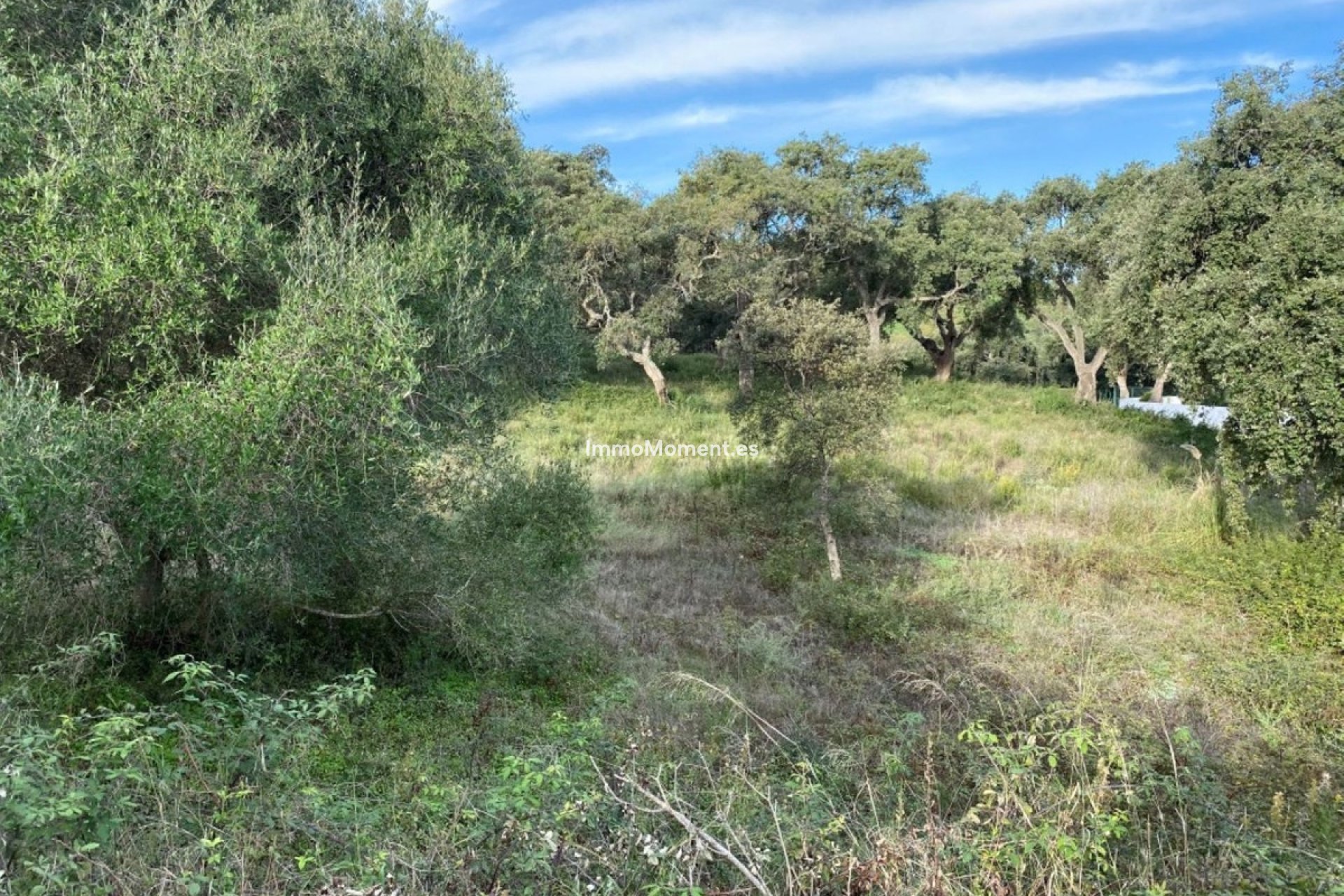 Resale - Plot - Sotogrande - San Roque Club