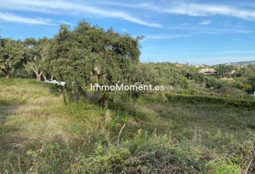 Resale - Plot - Sotogrande - San Roque Club