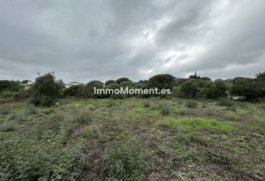 Resale - Plot - Sotogrande - Sotogrande Alto