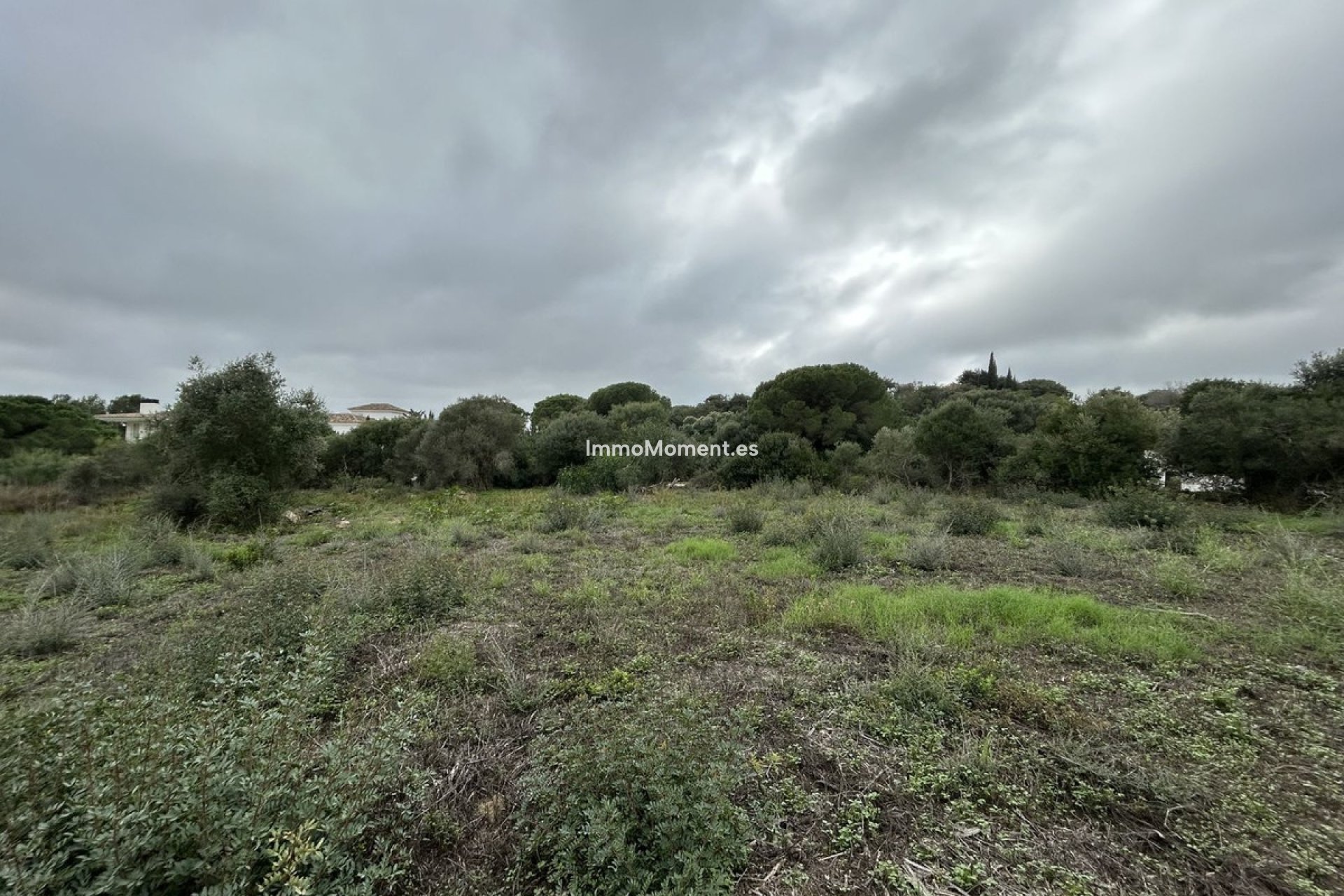 Resale - Plot - Sotogrande - Sotogrande Alto