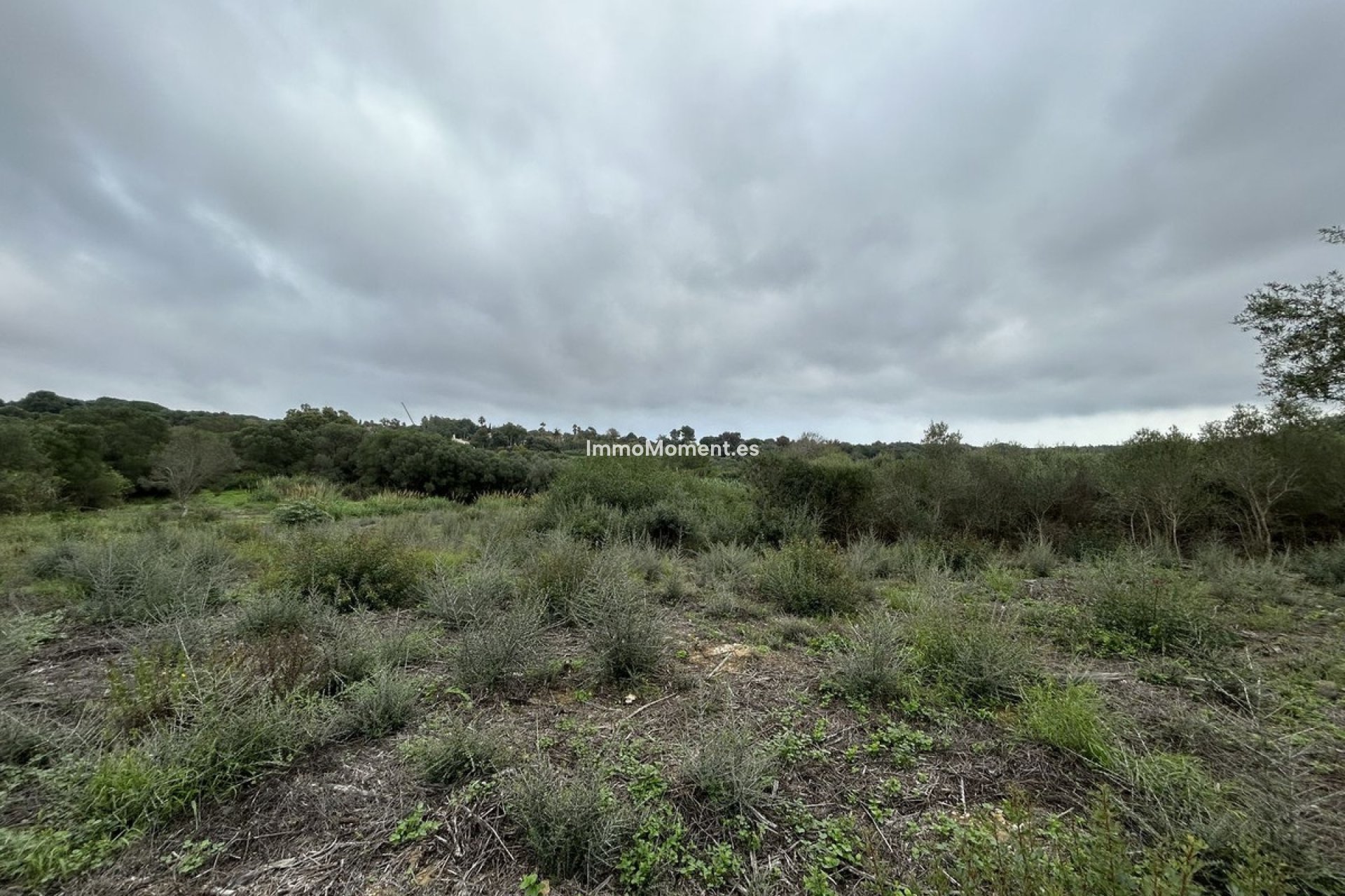 Resale - Plot - Sotogrande - Sotogrande Alto