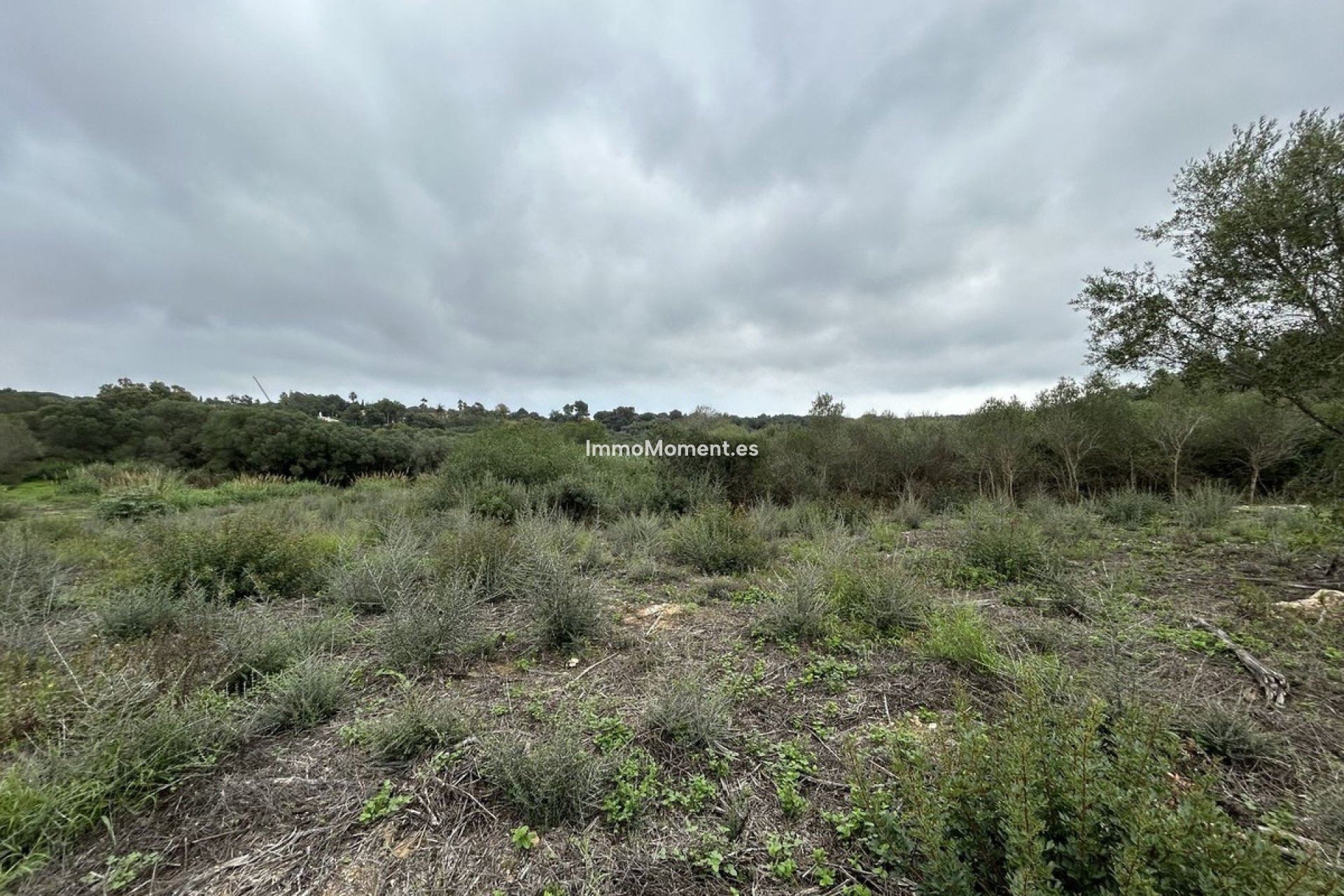 Resale - Plot - Sotogrande - Sotogrande Alto