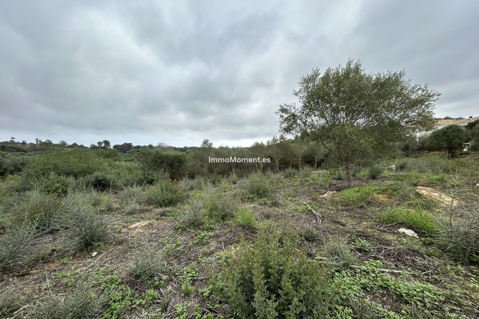 Resale - Plot - Sotogrande - Sotogrande Alto