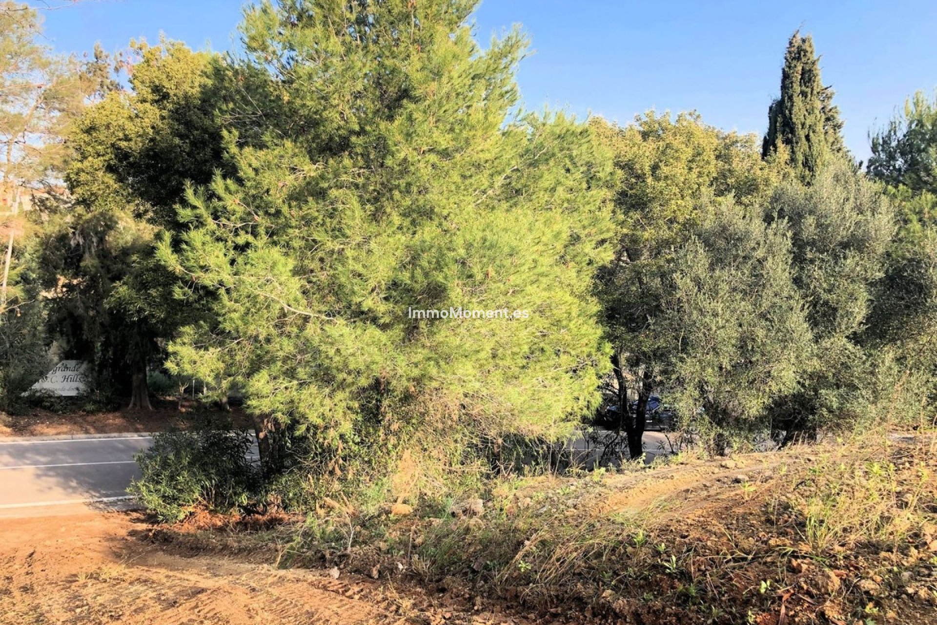 Resale - Plot - Sotogrande - Sotogrande Alto