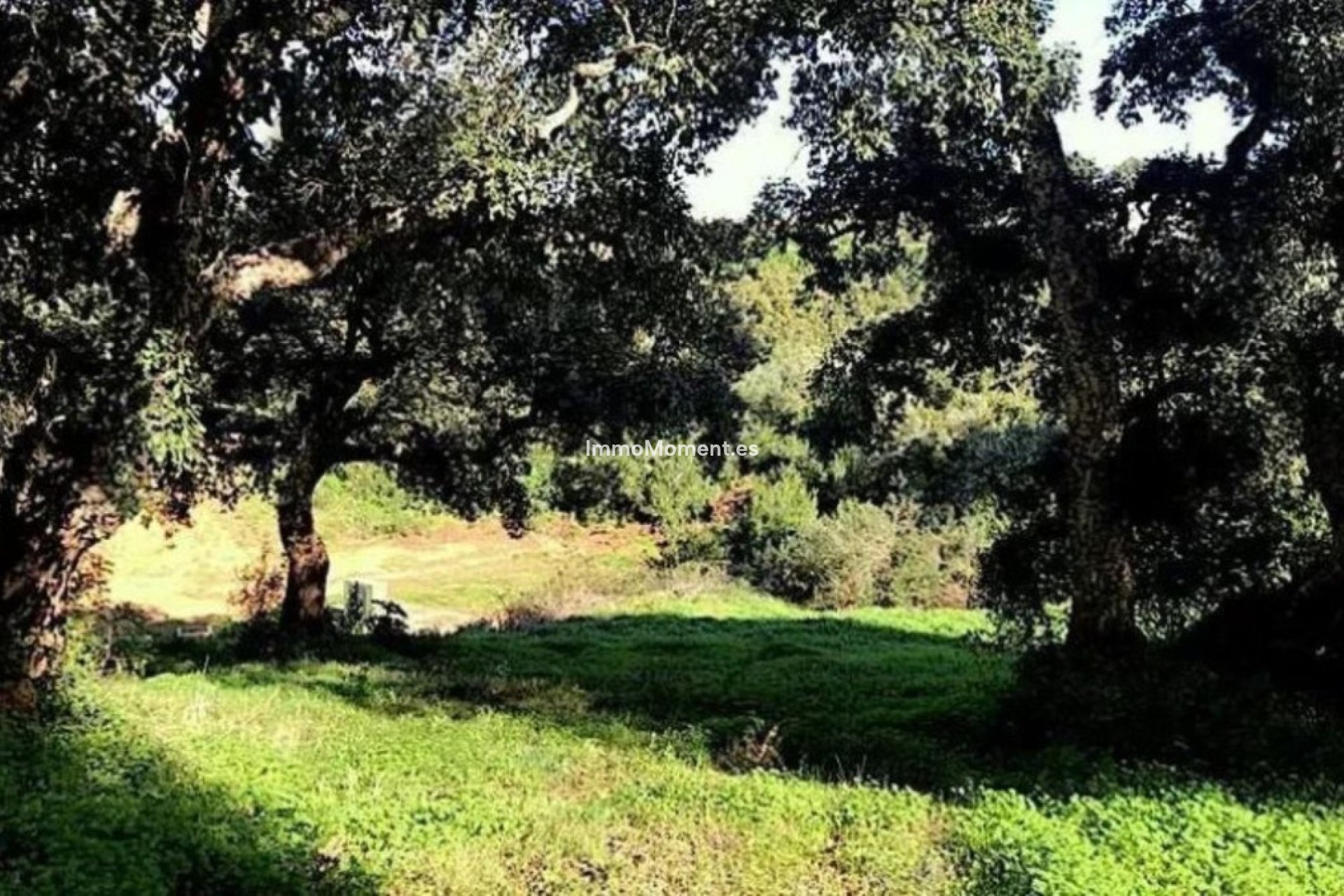 Resale - Plot - Sotogrande - Sotogrande Alto