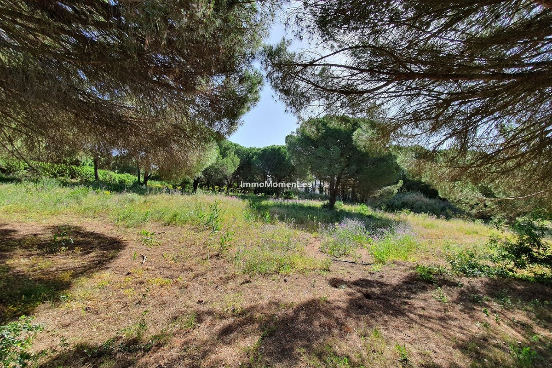 Resale - Plot - Sotogrande
