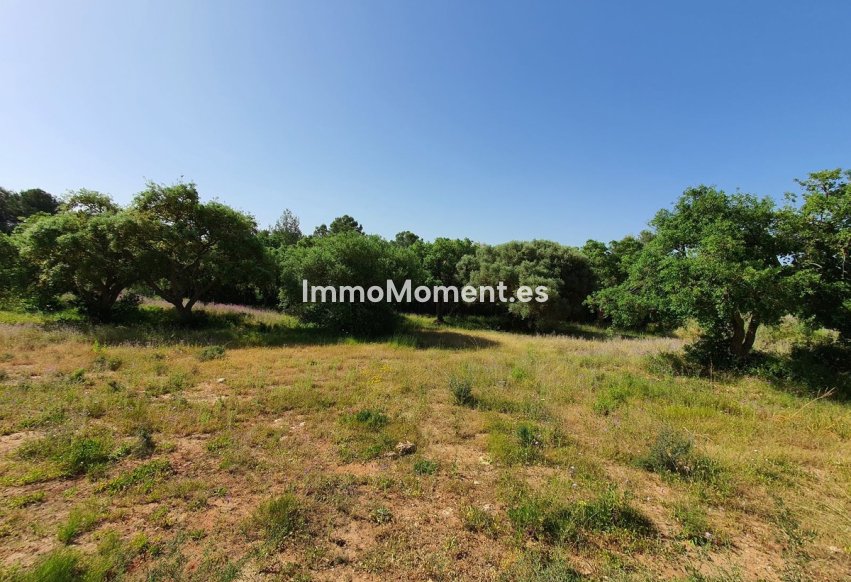 Resale - Plot - Sotogrande
