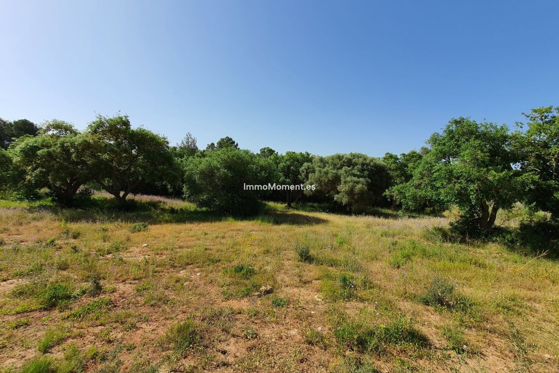 Resale - Plot - Sotogrande