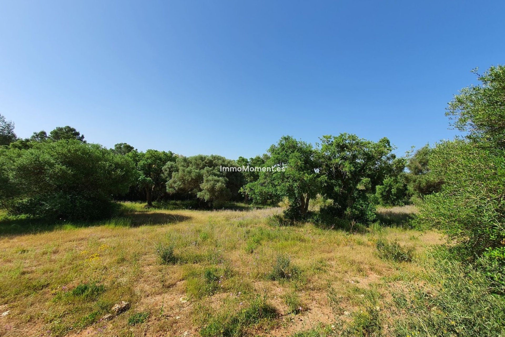 Resale - Plot - Sotogrande