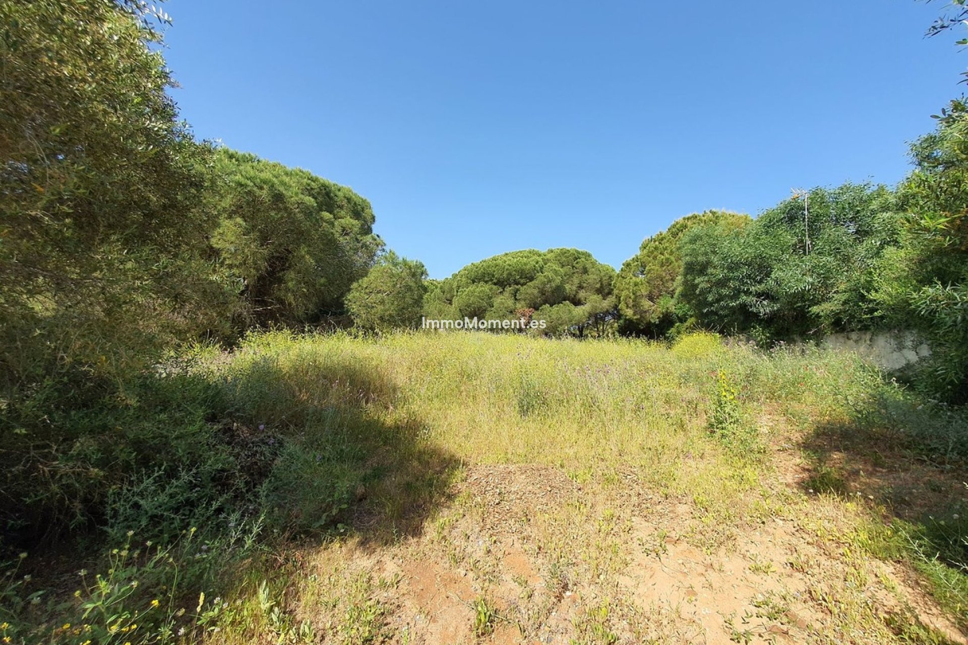 Resale - Plot - Sotogrande