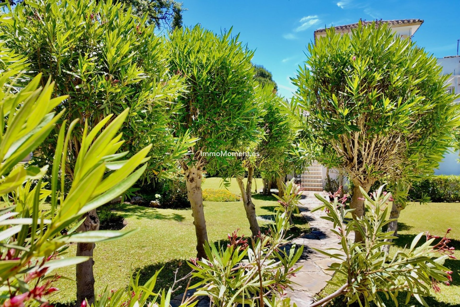 Resale - Townhouse - Marbella - Elviria