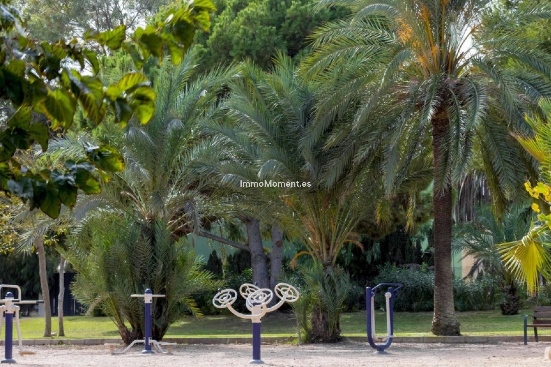 Resale - Townhouse - Orihuela - La Zenia