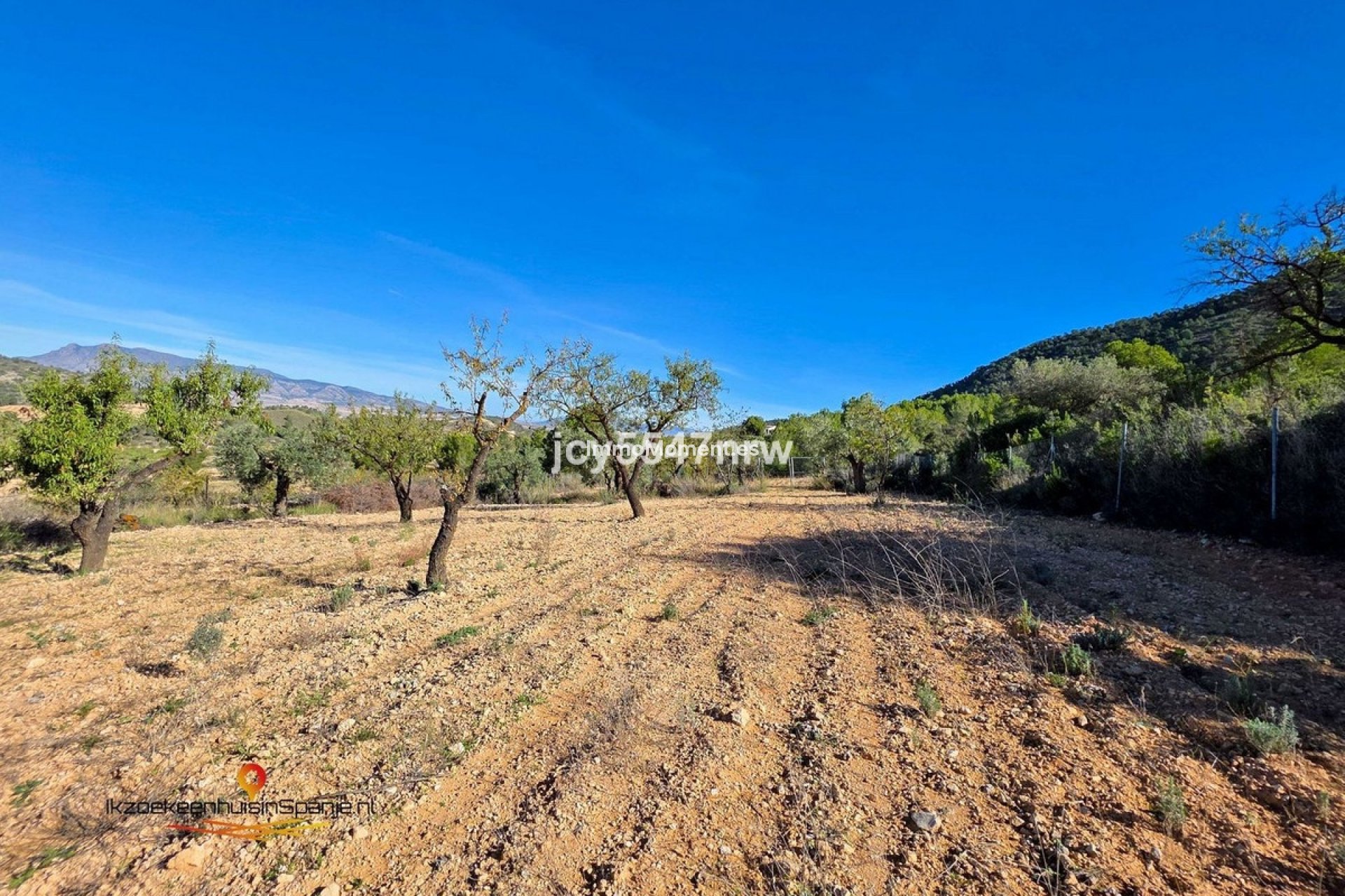 Resale - Villa - Abanilla - Abanilla Centro