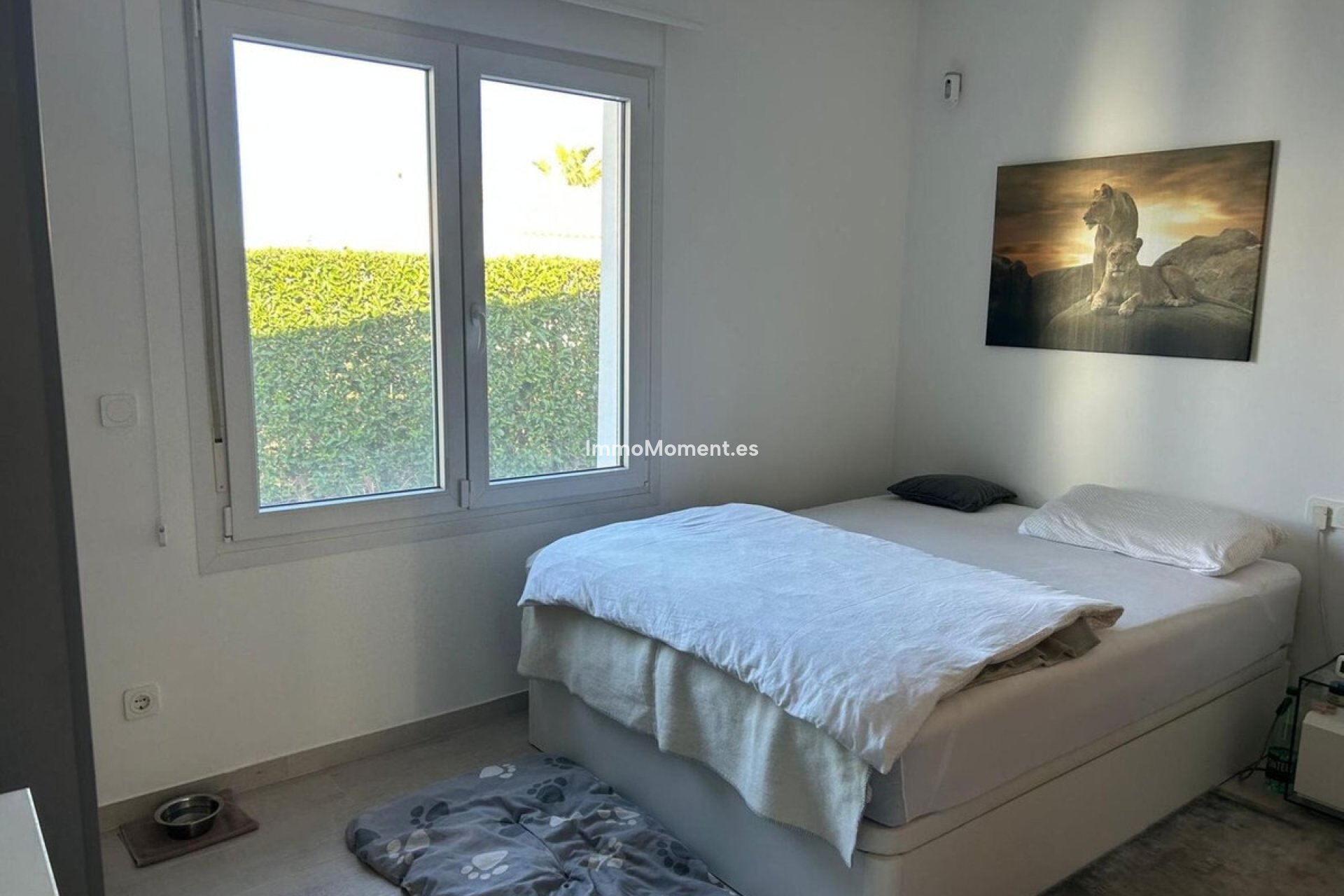 Resale - Villa - Algorfa - Algorfa Centro