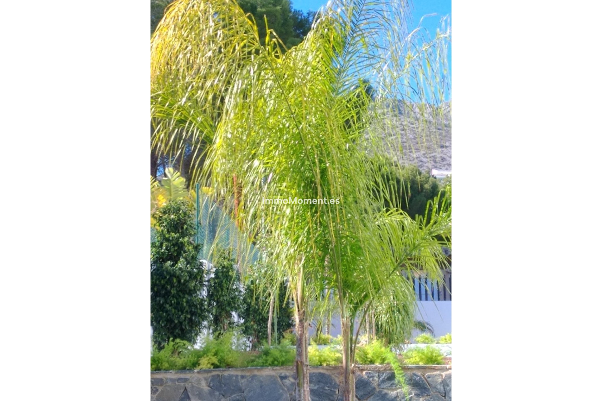 Resale - Villa - Altea - Altea Centro