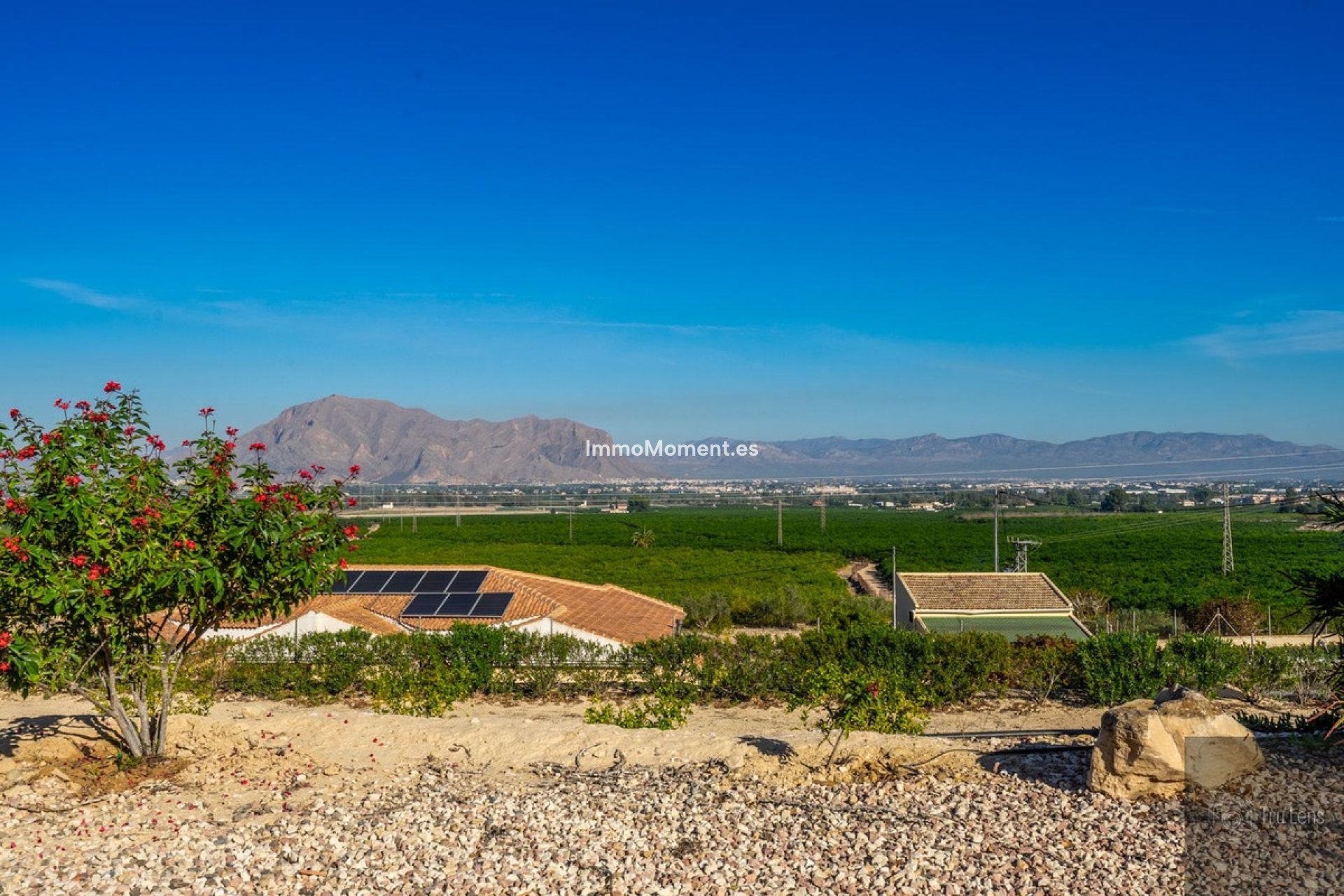 Resale - Villa - Benejúzar - Benejuzar Centro