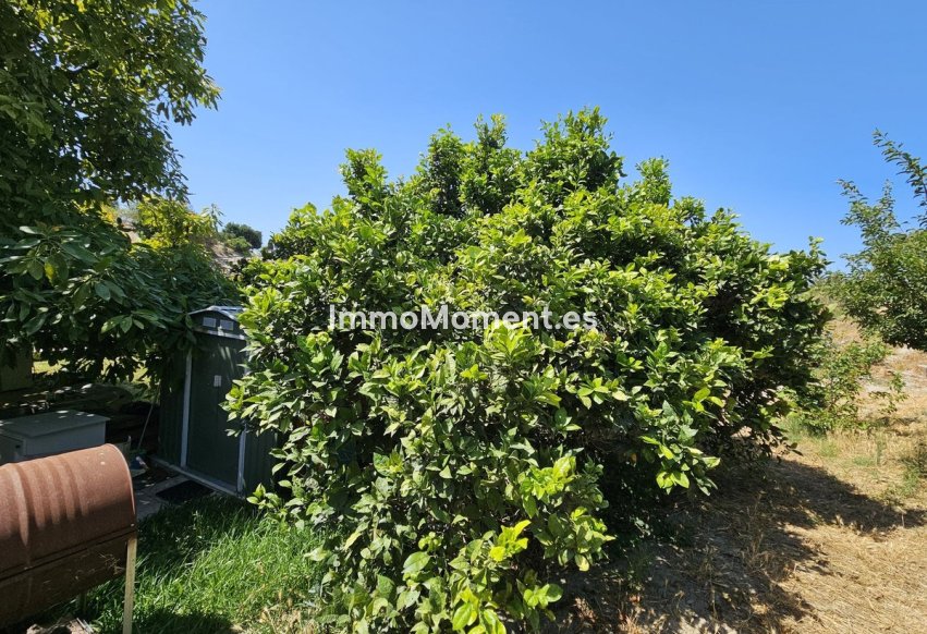 Resale - Villa - Casares - Casares Centro