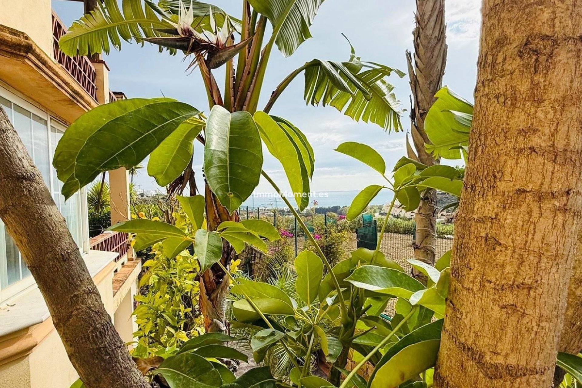 Resale - Villa - Casares - Casares Centro