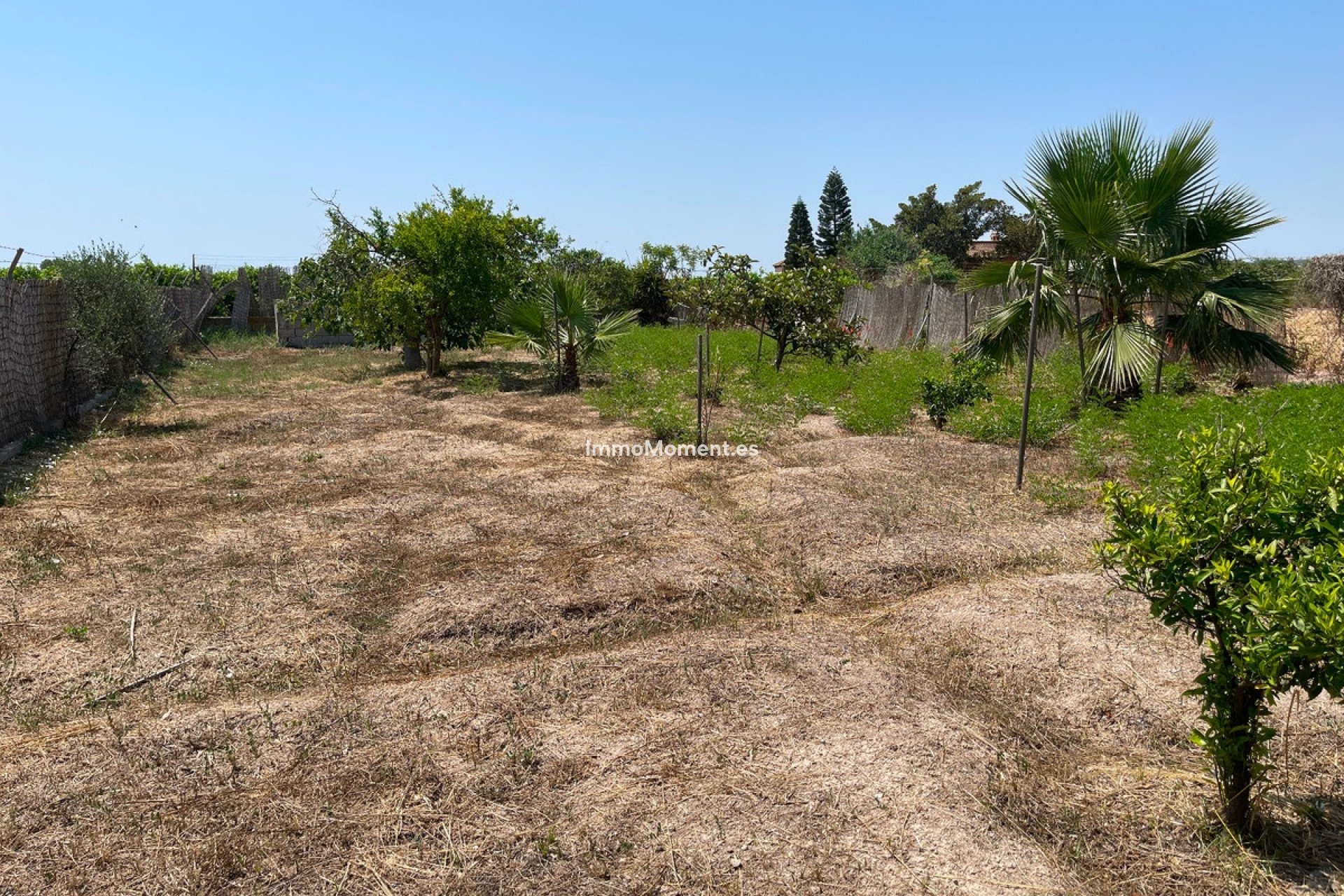 Resale - Villa - Daya Nueva - Daya Nueva Centro