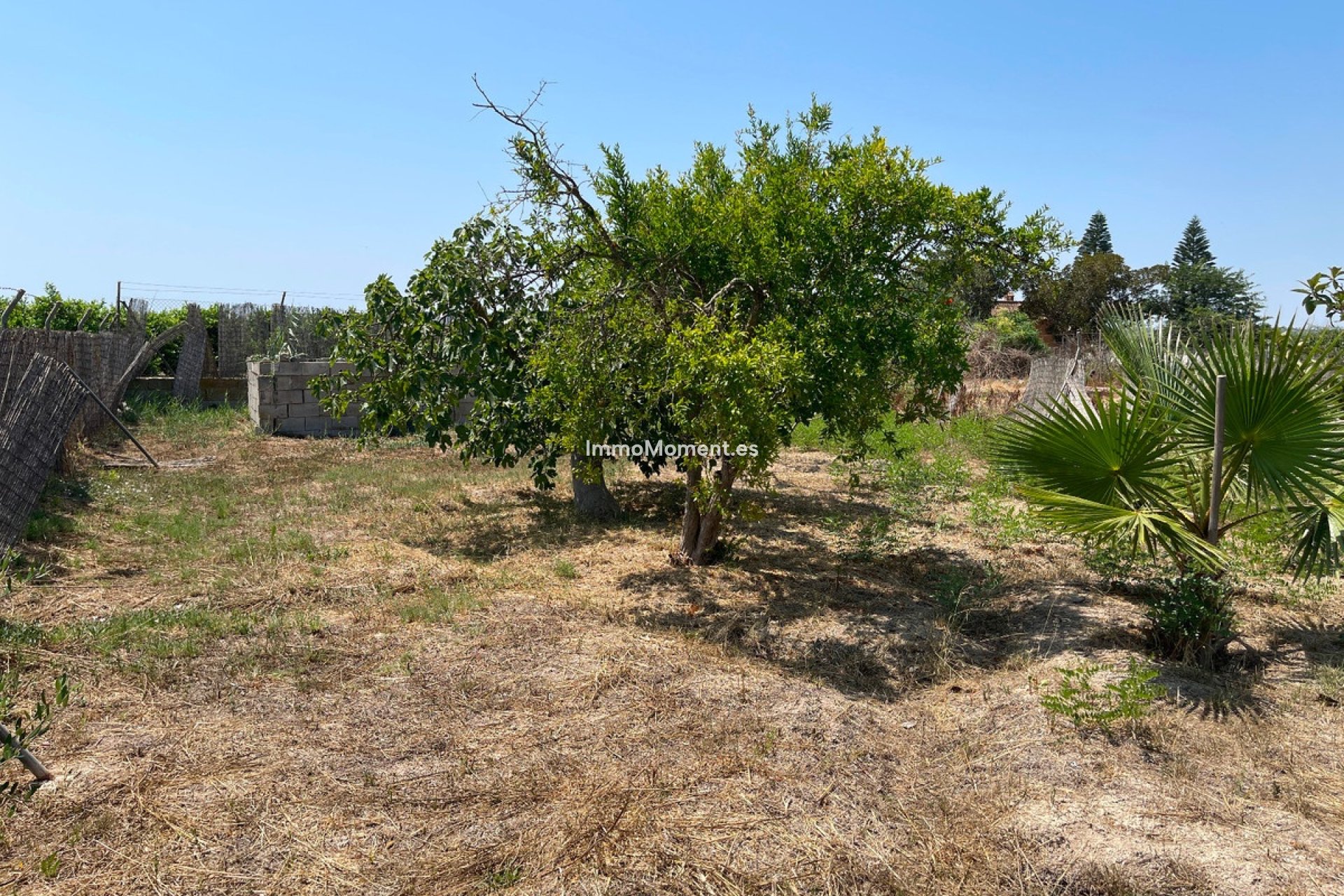 Resale - Villa - Daya Nueva - Daya Nueva Centro